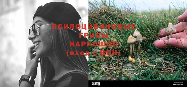 дмт Верхний Тагил