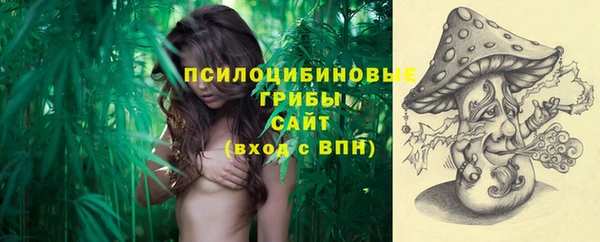 дмт Верхний Тагил