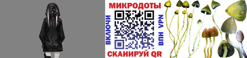 Купить где  Тарко-Сале  Псилоцибиновые грибы прущие грибы 